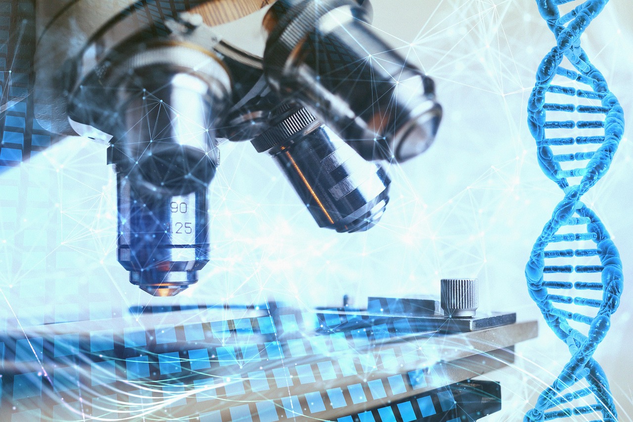 Real Decreto 942/2025 de producto sanitario para diagnóstico in vitro